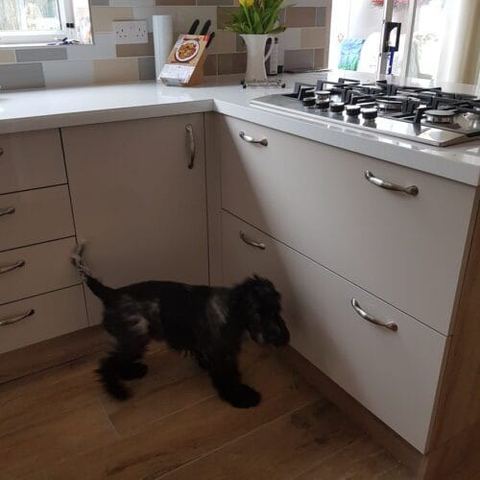 A three-week kitchen renovation, wall to wall — finished