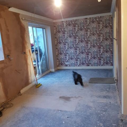 A three-week kitchen renovation, wall to wall — before work started