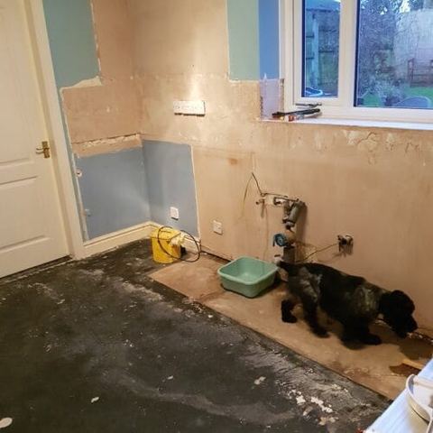 A three-week kitchen renovation, wall to wall — before work started