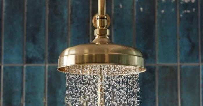 Keswick traditional shower head running