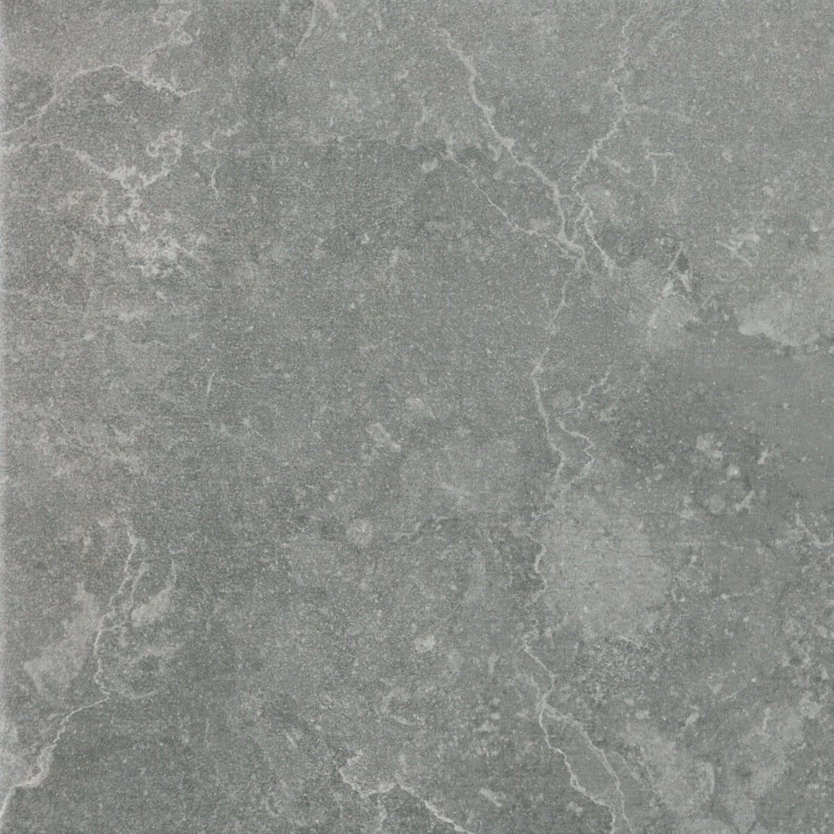 Sander Silver tile, 60.8 x 60.8 cm, grey